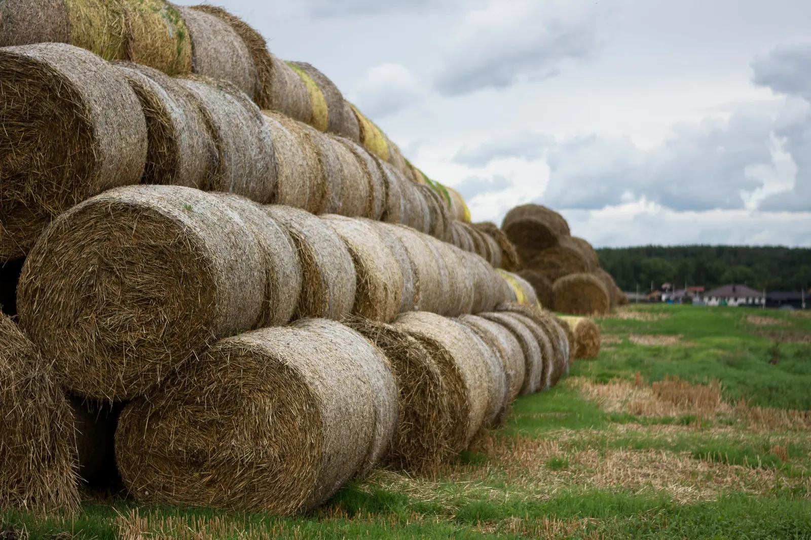 What Farm Records Should I Keep for My CPA?